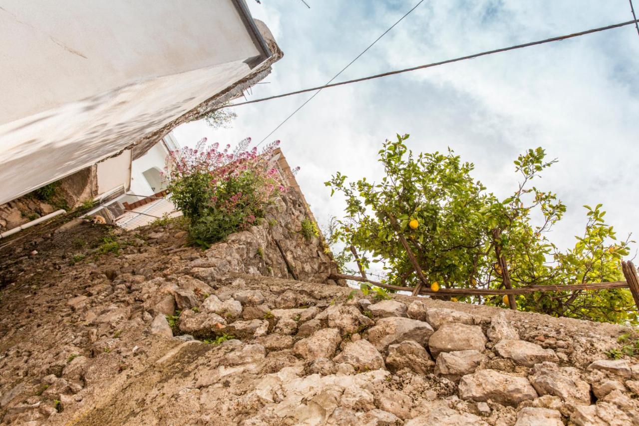 Casa Sea La Vie Διαμέρισμα Praiano Εξωτερικό φωτογραφία